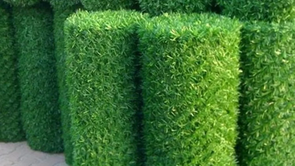 عمده فروشی فنس چمنی