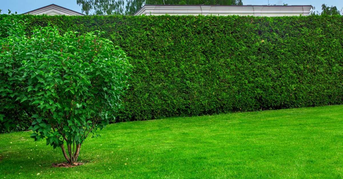 نکات کلیدی در انتخاب فنس چمنی مناسب