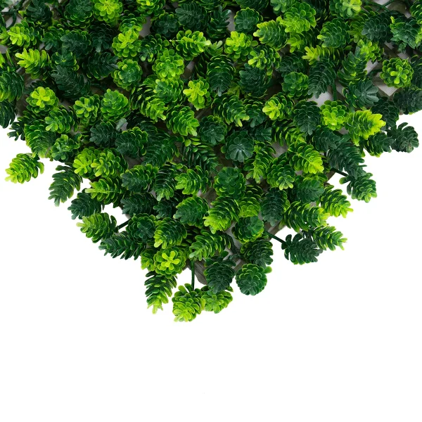 گرینوال کاجی 50 در 50 - Image 2