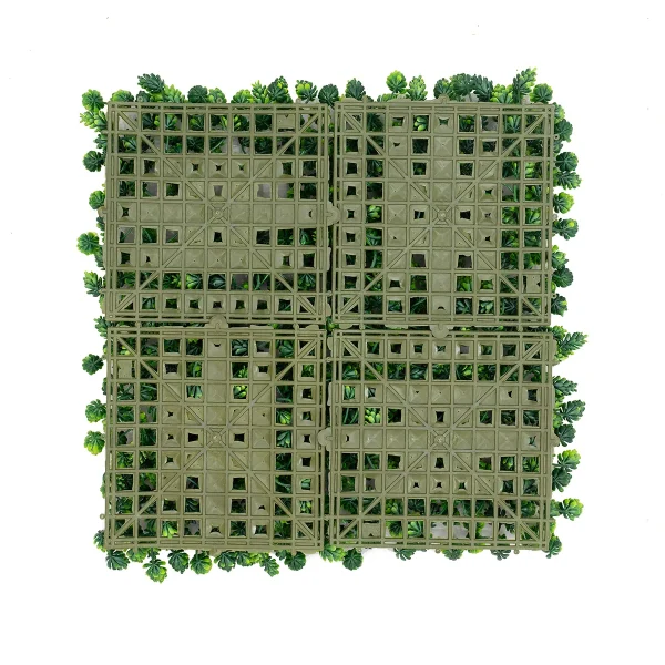 گرینوال کاجی 50 در 50 - Image 4