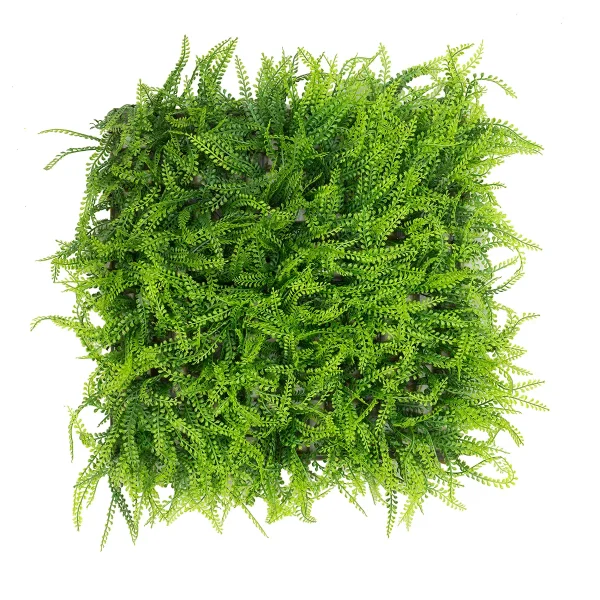 سرخس خارجی سبز